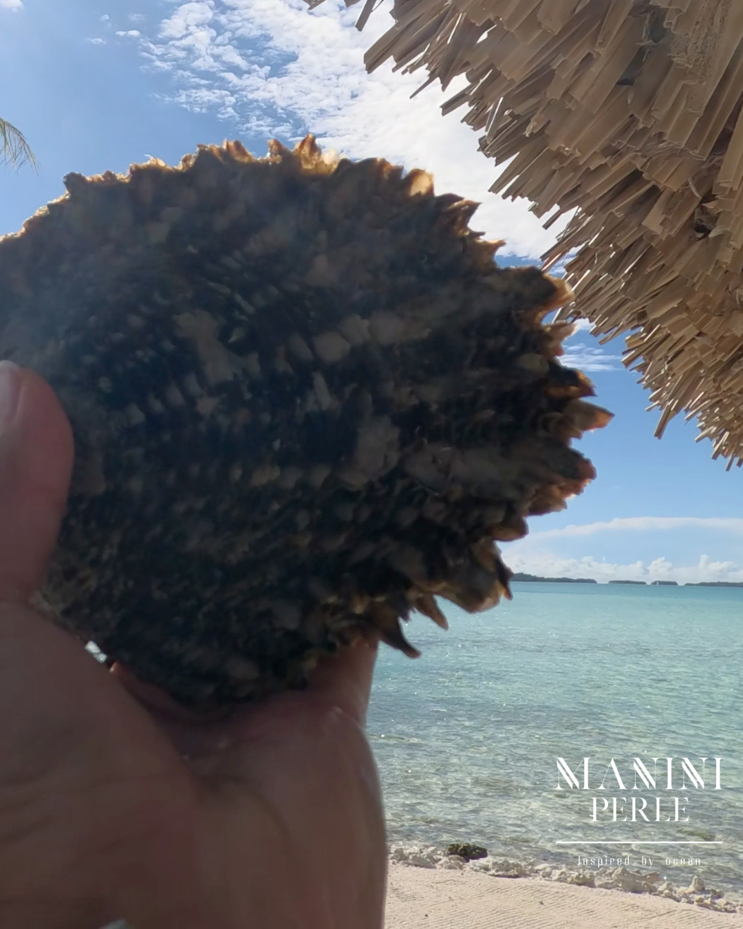 La production de la perle de Tahiti